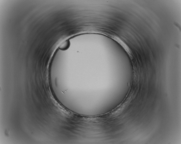 X0000097461004200803141847