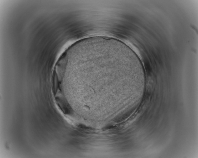 X0000097461005200803141847