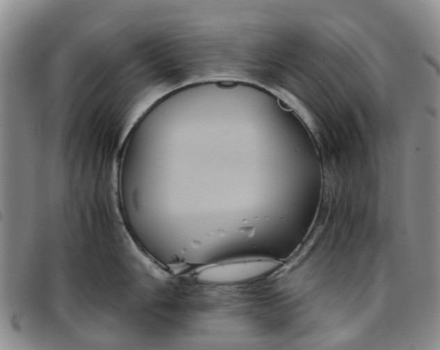 X0000097461006200803141847