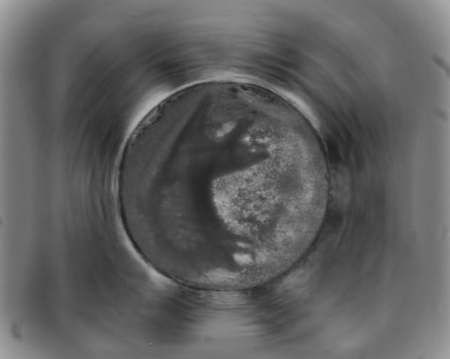 X0000097461007200803141847