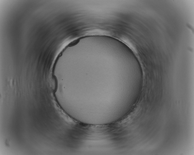 X0000097461008200803141847