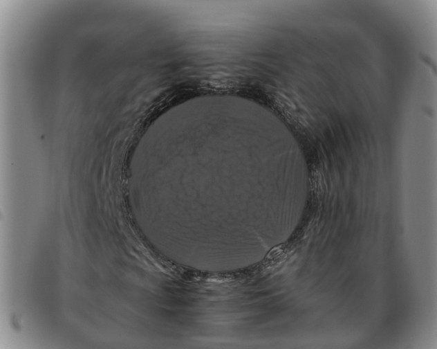 X0000097461009200803141846