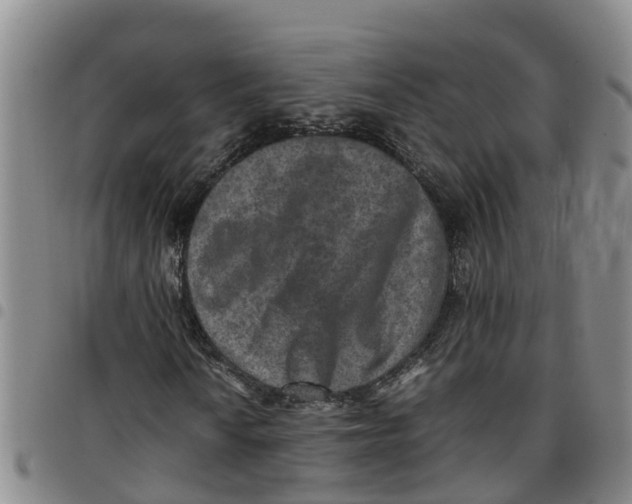 X0000097461010200803141846