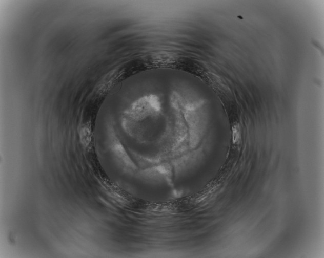 X0000097461011200803141847