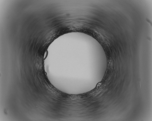 X0000097461012200803141847