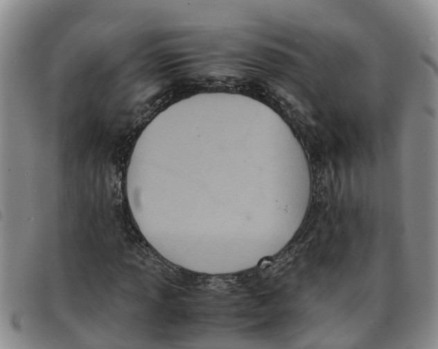 X0000097461013200803141847