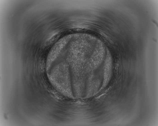 X0000097461014200803141847