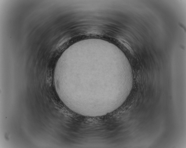 X0000097461015200803141847