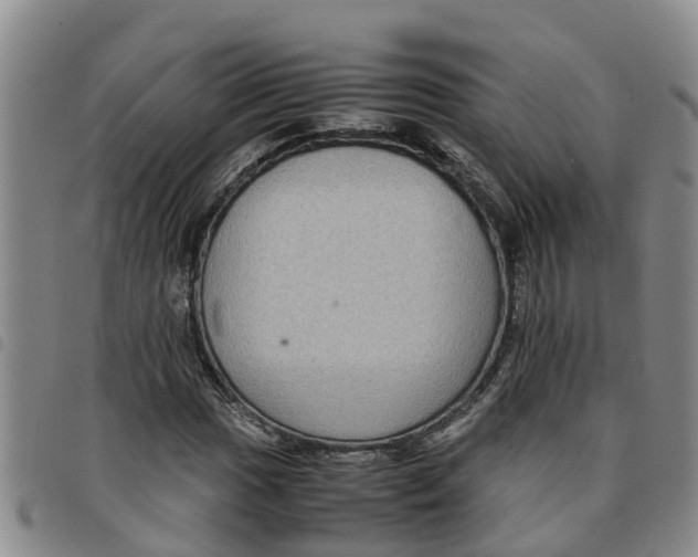 X0000097461017200803141847