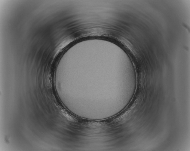 X0000097461018200803141847