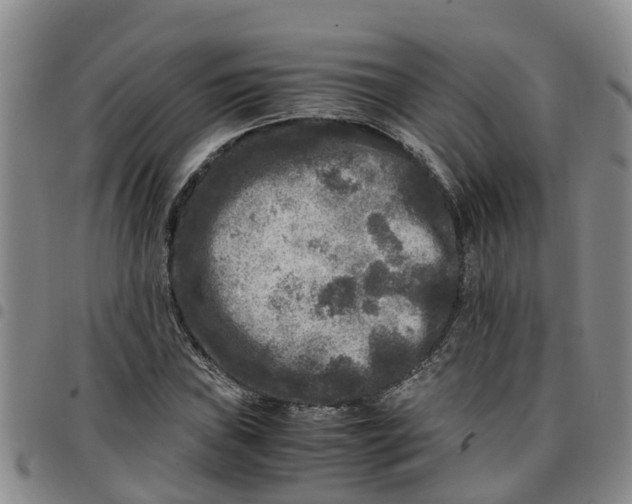 X0000097461019200803141847