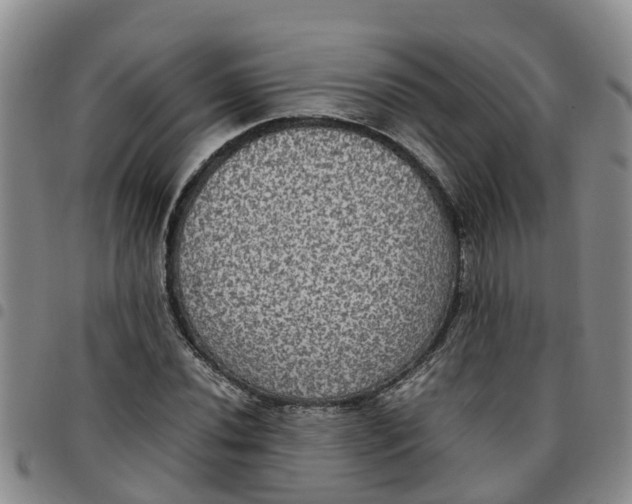 X0000097461020200803141847