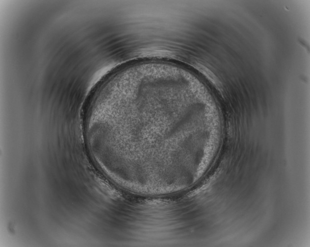 X0000097461022200803141847