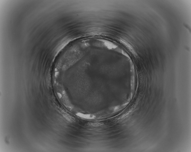 X0000097461023200803141847