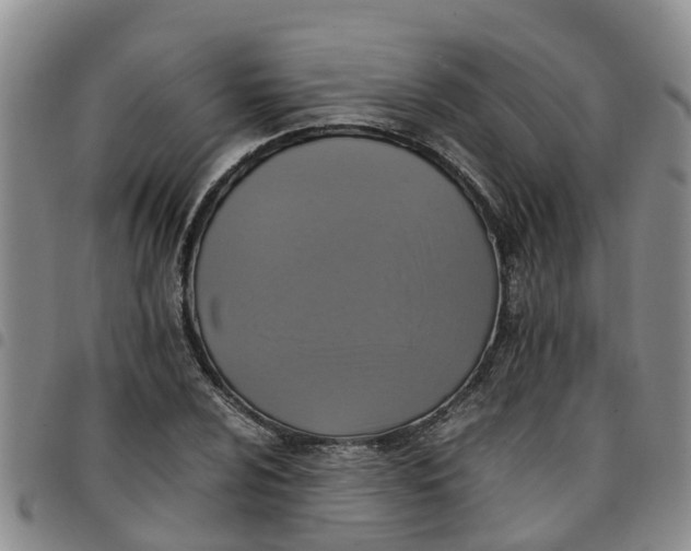 X0000097461024200803141847