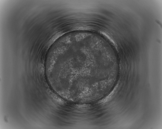 X0000097461025200803141847