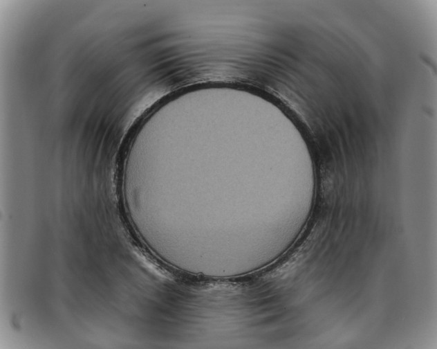 X0000097461026200803141847