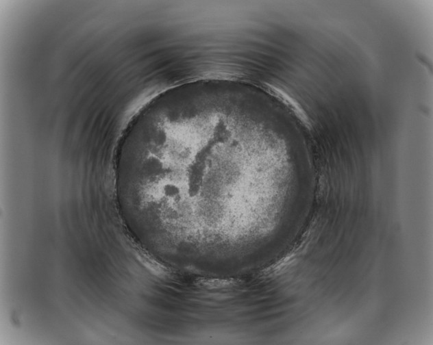 X0000097461027200803141847