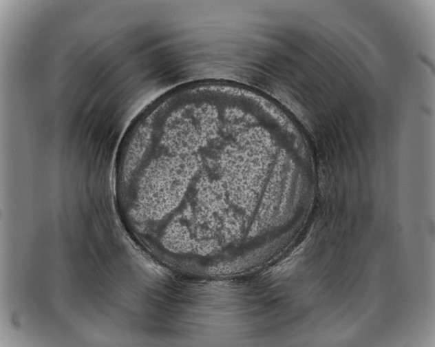 X0000097461028200803141847