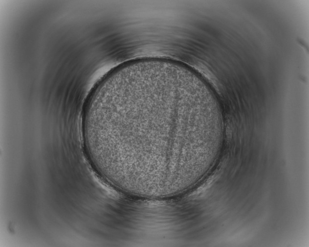 X0000097461030200803141847