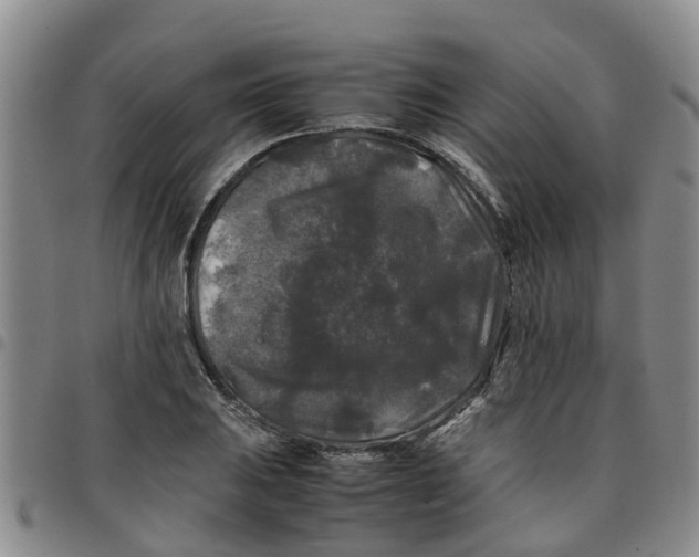 X0000097461031200803141847