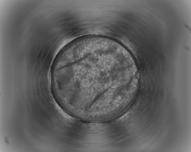 X0000097461032200803141847