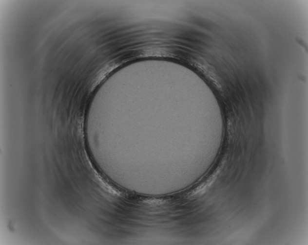 X0000097461033200803141847