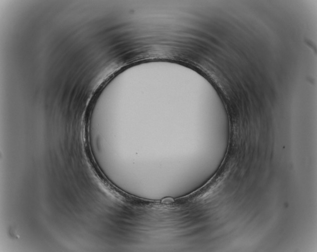 X0000097461034200803141847