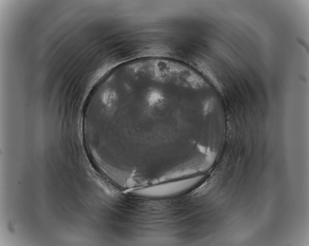 X0000097461035200803141847