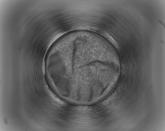 X0000097461036200803141847