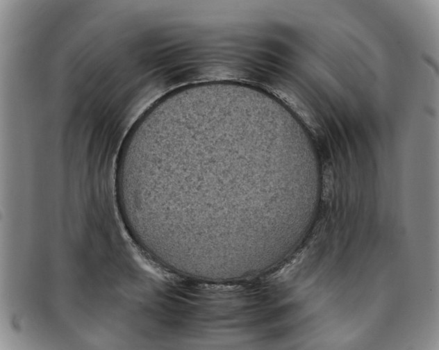 X0000097461039200803141847