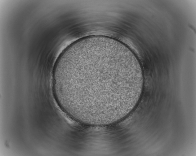 X0000097461040200803141847