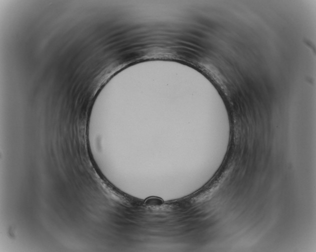 X0000097461041200803141847