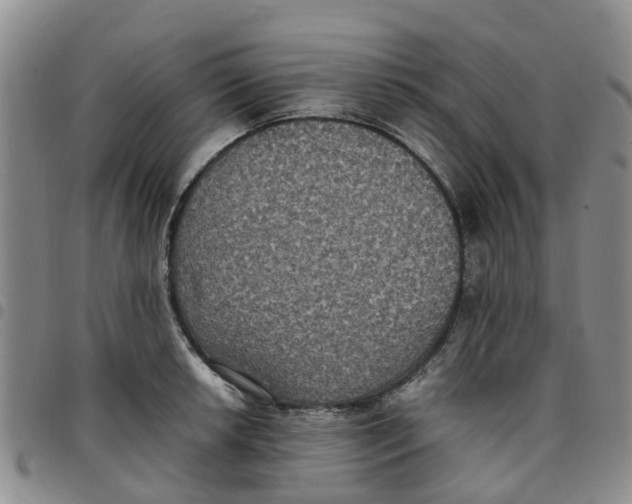 X0000097461042200803141847