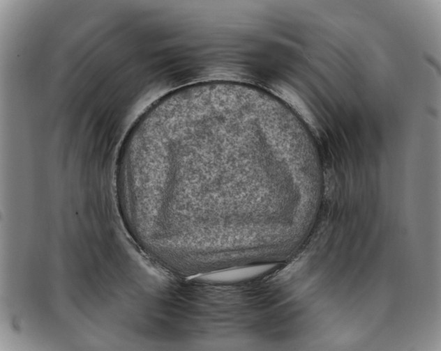 X0000097461043200803141847