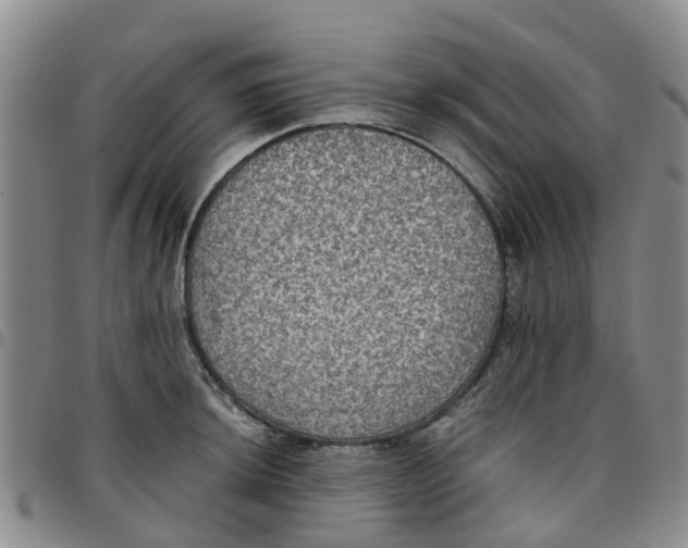 X0000097461044200803141847