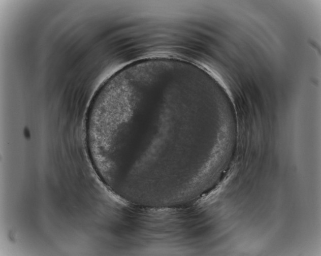 X0000097461045200803141847