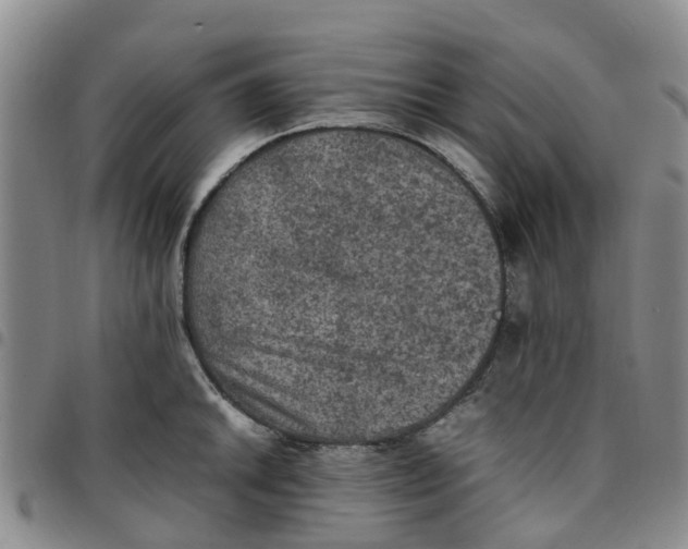 X0000097461046200803141847