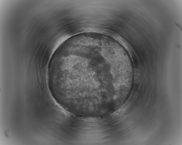 X0000097461048200803141847