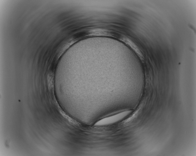 X0000097461049200803141847