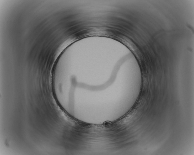 X0000097461050200803141847