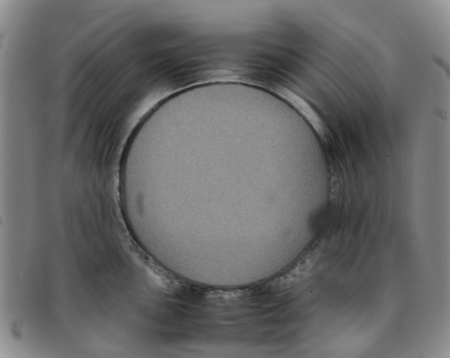 X0000097461051200803141847