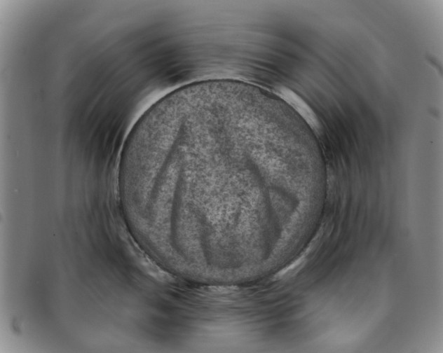 X0000097461052200803141847