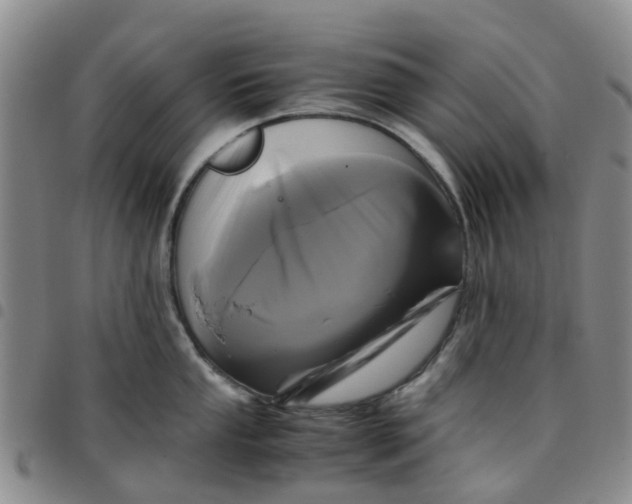 X0000097461053200803141847