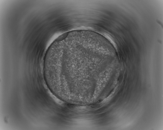 X0000097461054200803141847