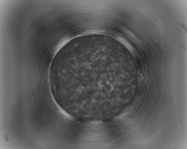 X0000097461055200803141847