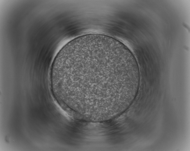 X0000097461056200803141847