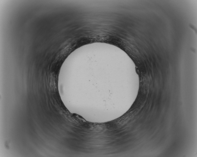 X0000097461058200803141846