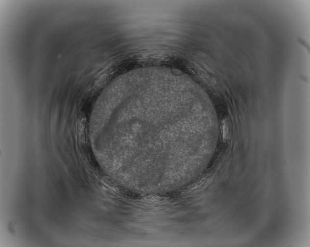 X0000097461059200803141846