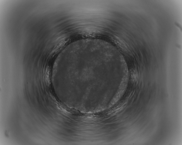 X0000097461060200803141846